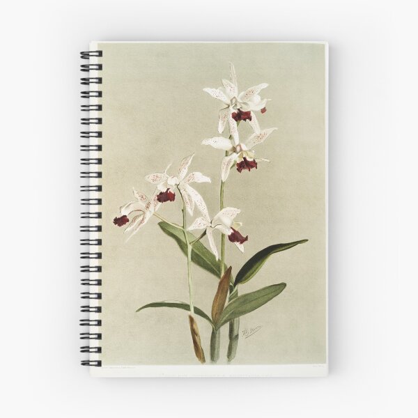 Item preview, Reichenbachia: Orchids Illustrated and Described designed and sold by EsotericBotanic.