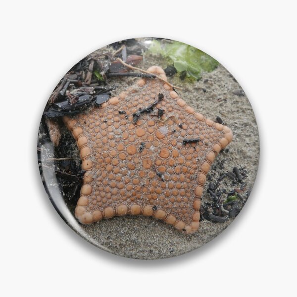 Artikelvorschau, Starfish Delight entworfen und verkauft von pierredubrelle.