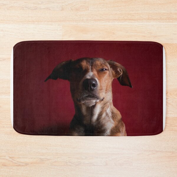Item preview, I don’t have any offshore treats accounts. designed and sold by Alex Preiss.
