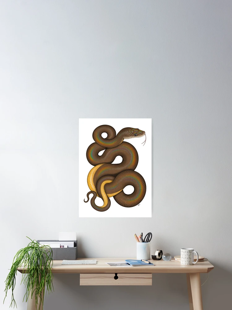 Thumbnail 2 of 3, Poster, Water Python designed and sold by miss-varanus.