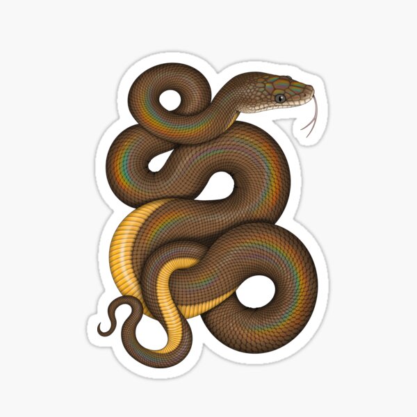 Water Python Sticker