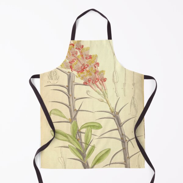 Item preview, Fouquieria splendens 136 8318 designed and sold by EsotericBotanic.