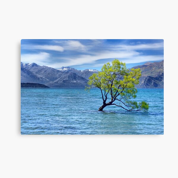 "New Zealand Landscape 7" Canvas Print for Sale by Redbubble
