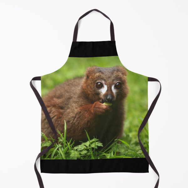 Item preview, Red Bellied Lemur designed and sold by TVD-Photography.