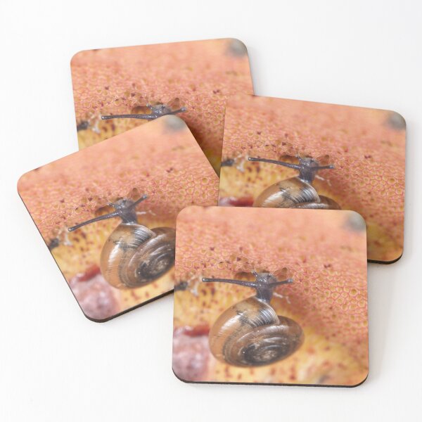 Item preview, Tiny snail on mushroom designed and sold by SDym Photography.