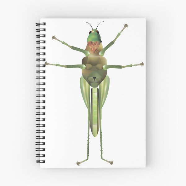 Item preview, Cute, friendly green grasshopper designed and sold by AzamatFantasy.