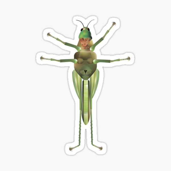 Item preview, Cute, friendly green grasshopper designed and sold by AzamatFantasy.