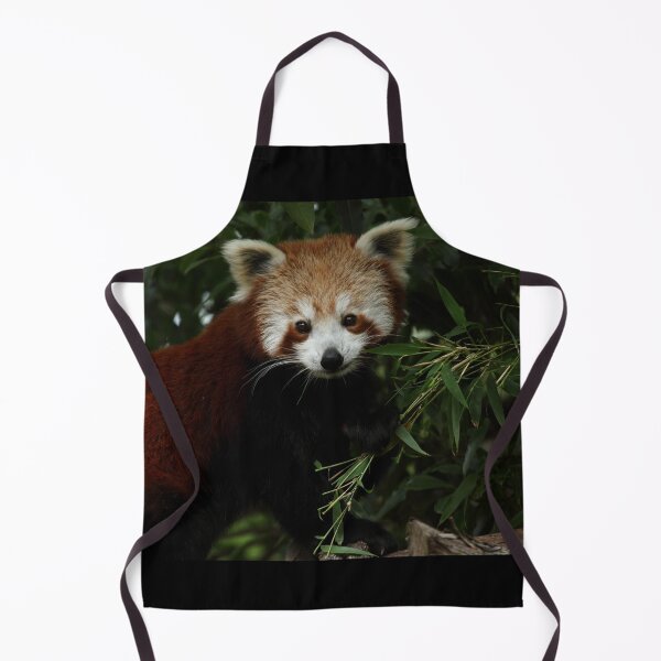 Item preview, Hungry Red Panda II designed and sold by TVD-Photography.