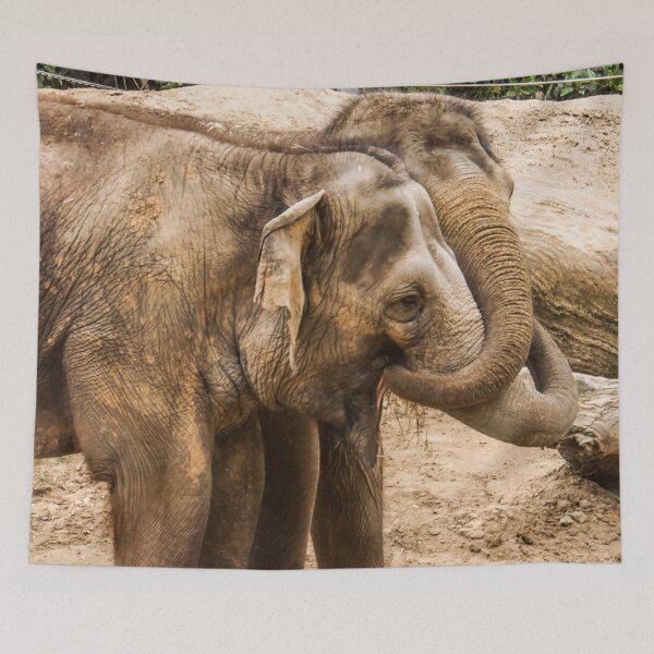 Item preview, Pachyderm Pals designed and sold by Steven Jodoin.