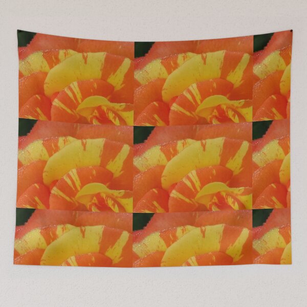 Item preview, Bicolour Rose After the Rain designed and sold by cjmashinter.