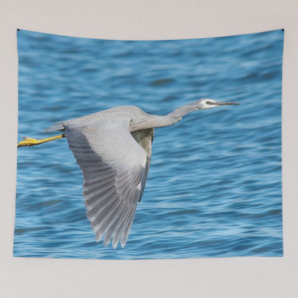 Artikelvorschau, White Faced Heron entworfen und verkauft von TGrowden.
