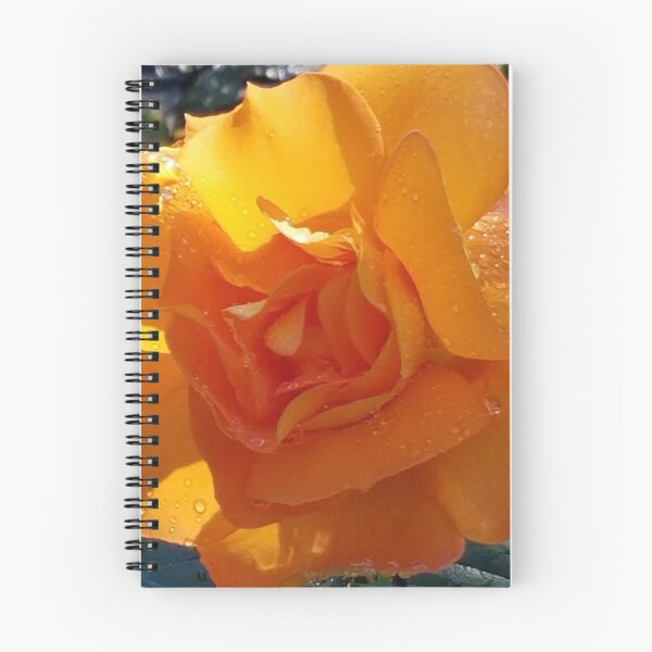 Item preview, Rose in Bloom designed and sold by cjmashinter.