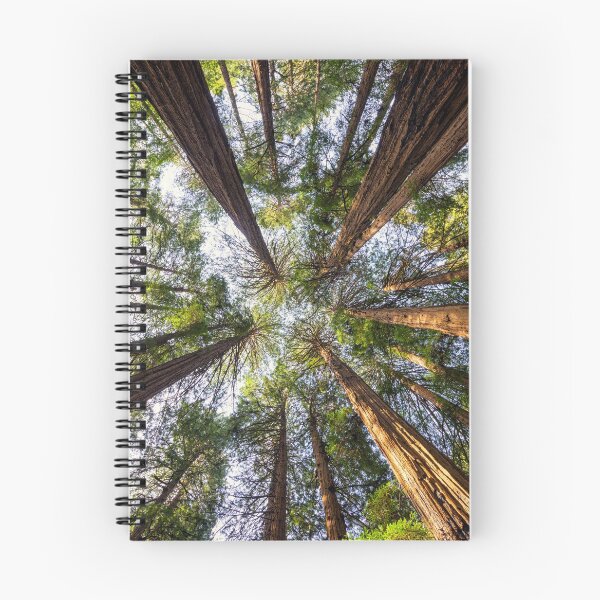 Item preview, Towering Giant Redwoods, Muir Woods National Monument, California, USA designed and sold by Tom  Mackie.