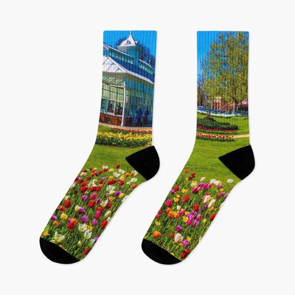 Item preview, Tulips in Full Bloom at the Conservatory - Bendigo, Victoria designed and sold by Steven Jodoin.