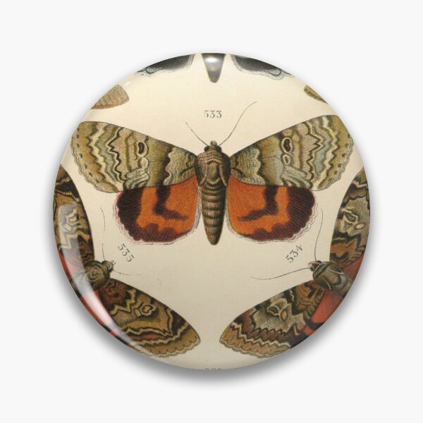 Item preview, Entomology Lepidoptera designed and sold by spikemet.