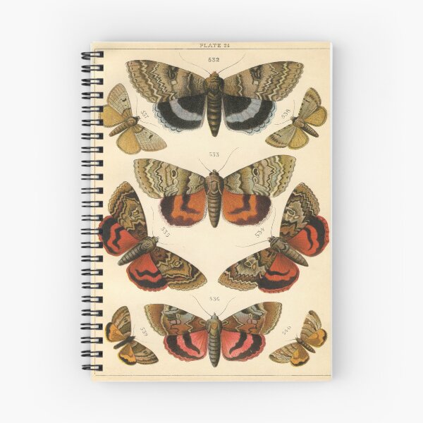 Item preview, Entomology Lepidoptera designed and sold by spikemet.