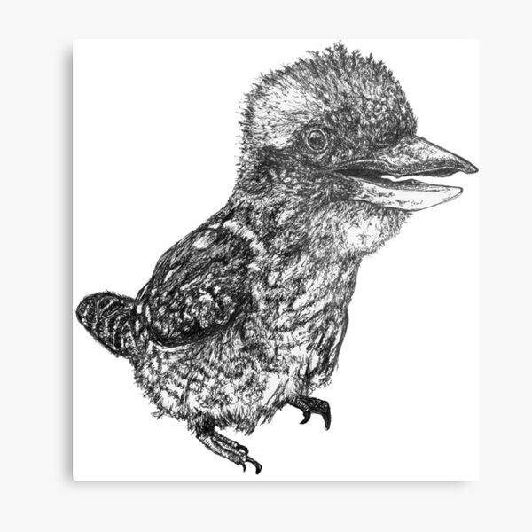 Mu Mu the Kookaburra Metal Print