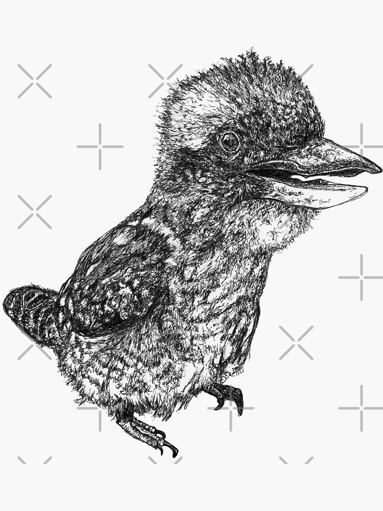 Mu Mu the Kookaburra by Wildcard-Sue