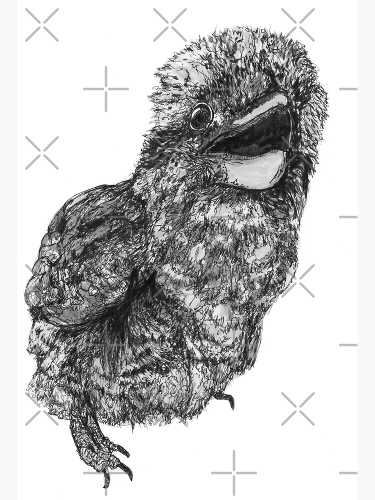 Nelson the Kookaburra by Wildcard-Sue