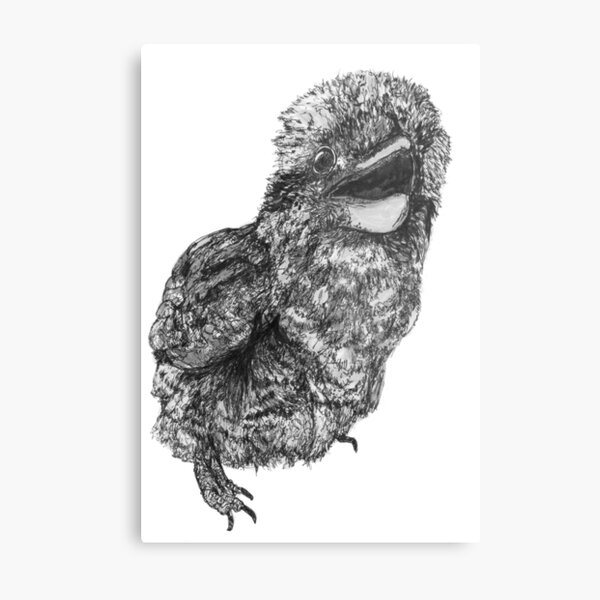 Nelson the Kookaburra Metal Print