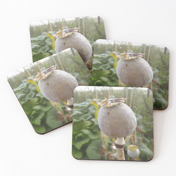 Item preview, poppy in garden designed and sold by miaterinka.