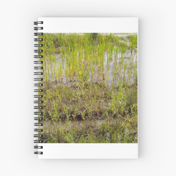 Item preview, swamp designed and sold by miaterinka.