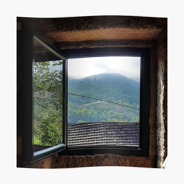 Window to nature Poster