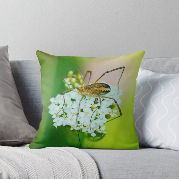 Item preview, Insect on a white flower macro designed and sold by lalylaura.