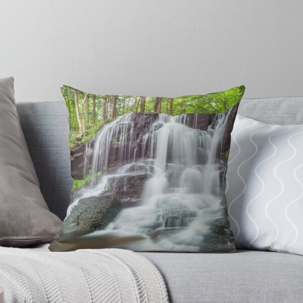 Item preview, Dry Run Falls, Wyoming State Forest, Sullivan County, Pennsylvania, USA designed and sold by Tom  Mackie.