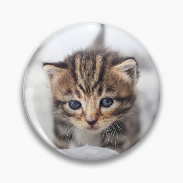 Item preview, Tiny tiger designed and sold by GreyFeatherPhot.