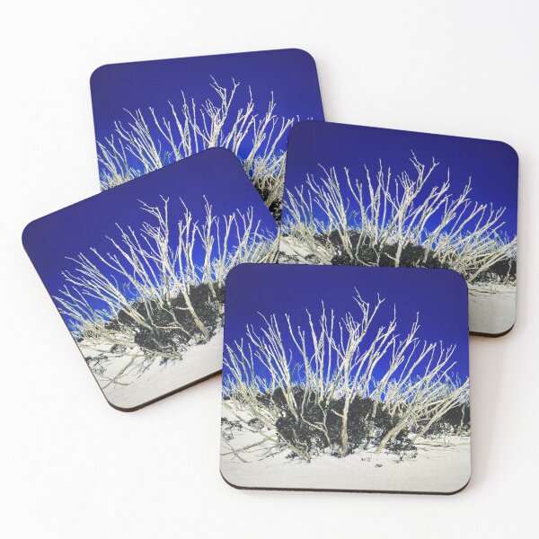 Item preview, Spring growth on snow gums - the Maze, Falls Creek designed and sold by beebeedicko.