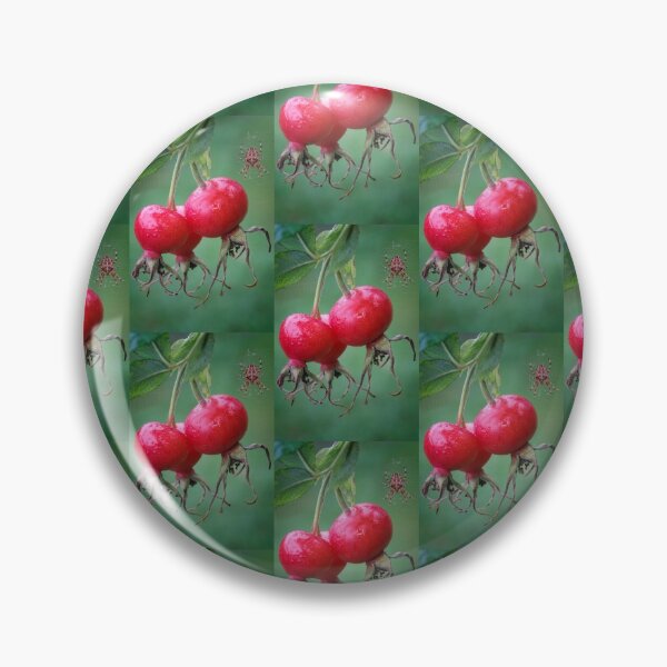 Item preview, Rosa Rugosa. designed and sold by John Ray.