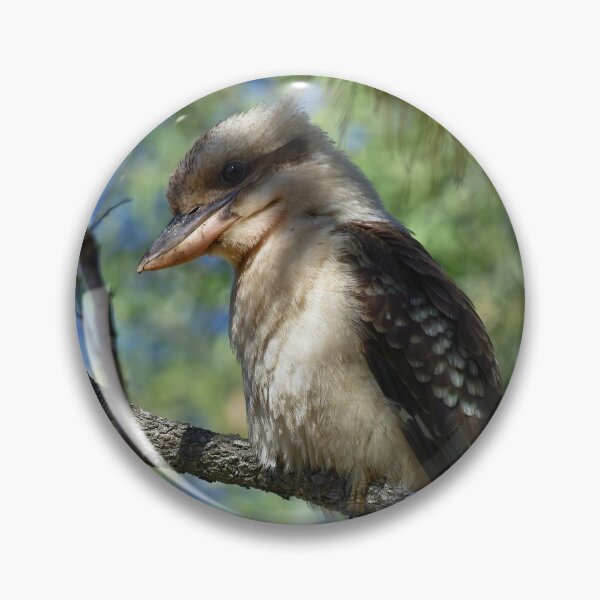 Item preview, Laughing Kookaburra designed and sold by TGrowden.
