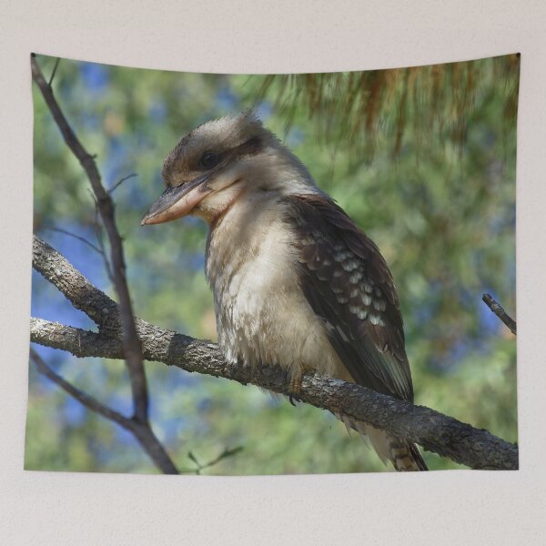 Item preview, Laughing Kookaburra designed and sold by TGrowden.