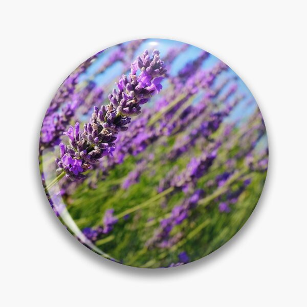 Item preview, Common lavender designed and sold by troianifabrizio.