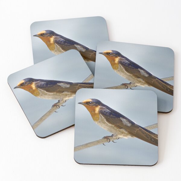 Item preview, Welcome Swallow designed and sold by TGrowden.