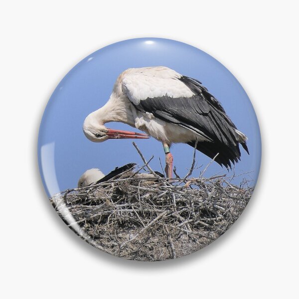 Item preview, r2420/ site ornithologique-du-teich - Cigogne blanche,  2018 par Okaio Créations - Olavia-Olao  designed and sold by o.okaïo.