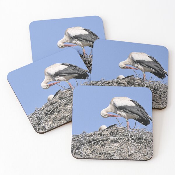 Item preview, r2420/ site ornithologique-du-teich - Cigogne blanche,  2018 par Okaio Créations - Olavia-Olao  designed and sold by o.okaïo.