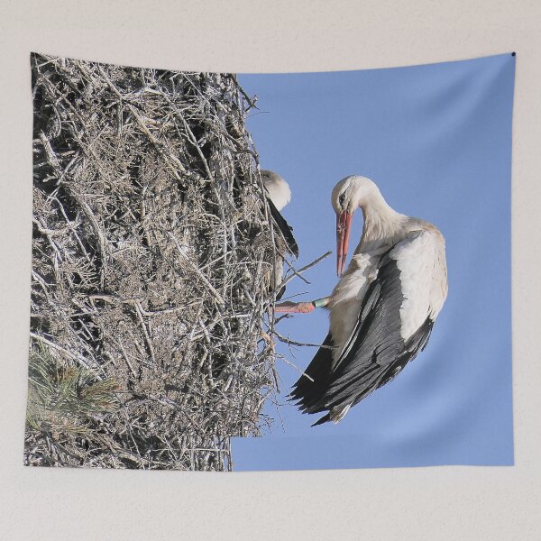 Item preview, r2420/ site ornithologique-du-teich - Cigogne blanche,  2018 par Okaio Créations - Olavia-Olao  designed and sold by o.okaïo.