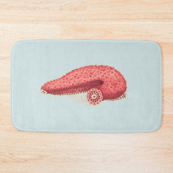 Item preview, Vintage seaslug illustration designed and sold by Flamin' Galah.