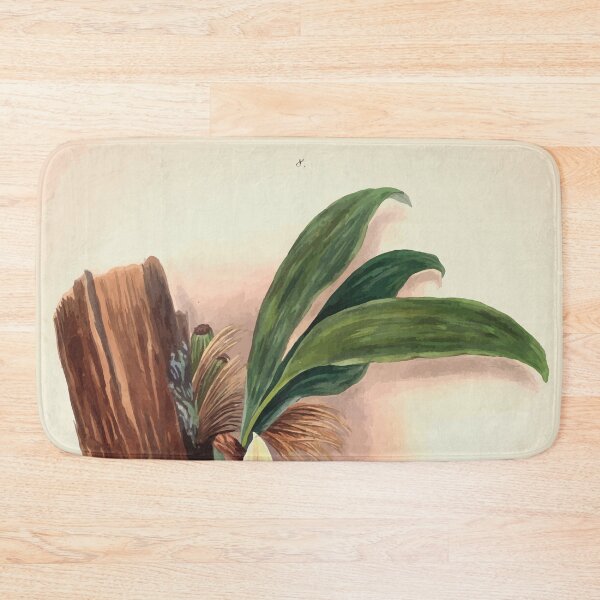 Item preview, Brazilian flowers drawn from nature in the years 1880 to 1882 in the neighbourhood of Rio de Janeiro E H Norton 011 designed and sold by WetdryvacRB01.
