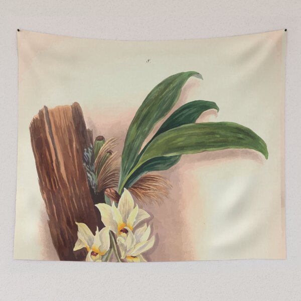 Item preview, Brazilian flowers drawn from nature in the years 1880 to 1882 in the neighbourhood of Rio de Janeiro E H Norton 011 designed and sold by WetdryvacRB01.