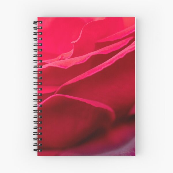 Item preview, Red rose detail designed and sold by AYatesPhoto.