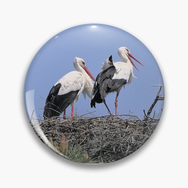 Item preview, r2421/ site ornithologique-du-teich - Cigogne blanche,  2018 par Okaio Créations - Olavia-Olao     designed and sold by o.okaïo.