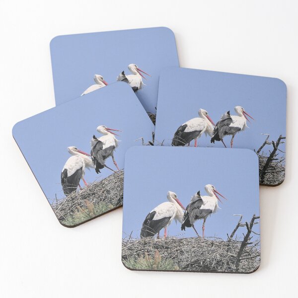 Item preview, r2421/ site ornithologique-du-teich - Cigogne blanche,  2018 par Okaio Créations - Olavia-Olao     designed and sold by o.okaïo.