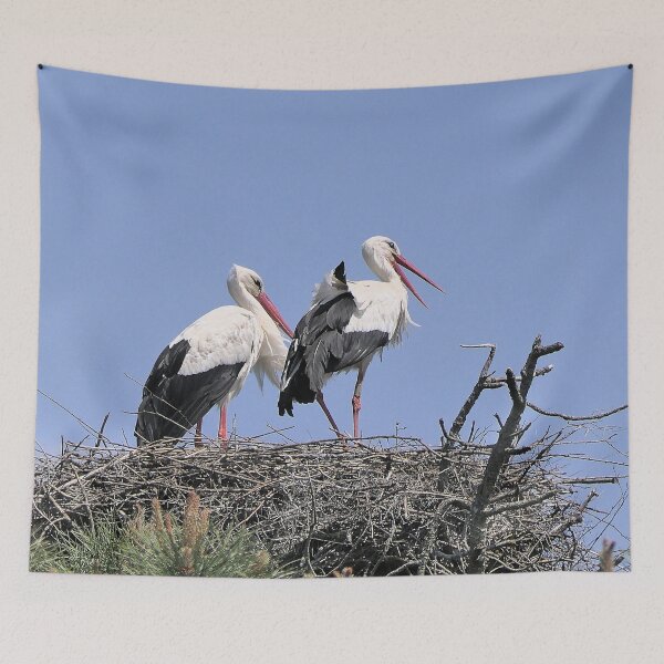 Item preview, r2421/ site ornithologique-du-teich - Cigogne blanche,  2018 par Okaio Créations - Olavia-Olao     designed and sold by o.okaïo.