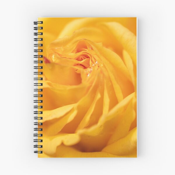 Item preview, Morning dew on golden rose designed and sold by AYatesPhoto.