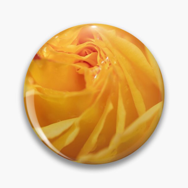 Item preview, Morning dew on golden rose designed and sold by AYatesPhoto.
