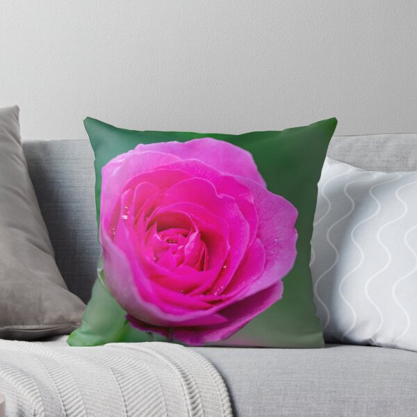 Artikelvorschau, Die perfekte rosa Rose entworfen und verkauft von AYatesPhoto.
