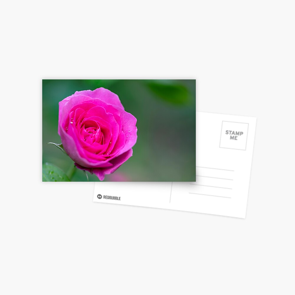 Item preview, Postcard designed and sold by AYatesPhoto.